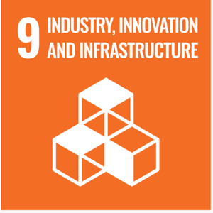 SDG 9 — Industry, Innovation and Infrastructure