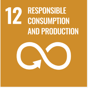 SDG 12 — Responsible Consumption and Production