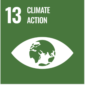 SDG 13 — Climate Action