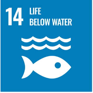 SDG 14 — Life Below Water